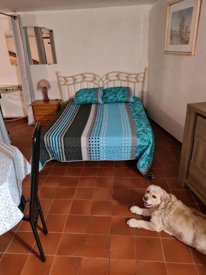 Apt 65 M2 Dans Villa Avec Piscine Banyuls Sur Mer Exteriör bild
